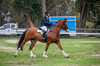 Show Jumping