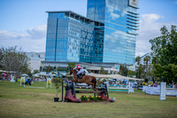 Equestrian in the Park