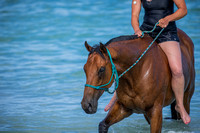 Naval Base Horse Beach