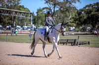 Dressage