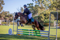 Class 14B - 60cm Elders Insurance Open PCWA/EWA