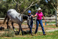 Horse Park 9.30 - 10.30am