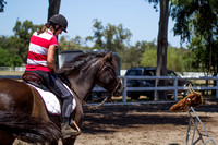 Brookleigh Working Equitation January