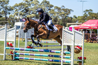 65cm Show Jumping