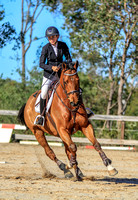 Hills Show Jumping Association