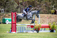 Horseland WA 4YO Young Event Horse