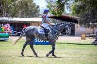 Horseland WA 5YO Young Event Horse