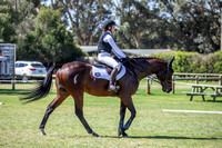 Off The Track Event Horse 7-10YO