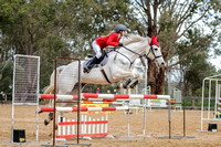 Show Jumping