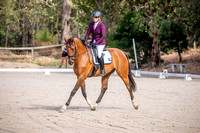 Dressage