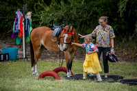 Handy Pony