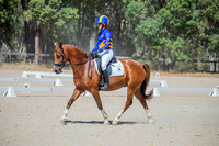 Zamia Adult Riders Club