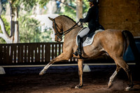 Brookleigh Dressage Club