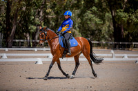 Zamia Adult Riding Club