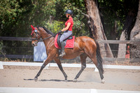 Ashlyn - Zamia